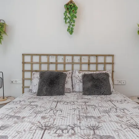 San Marcos Apartamento